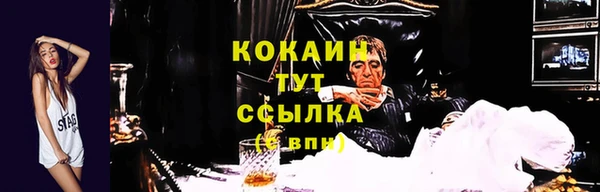 ECSTASY Богородск