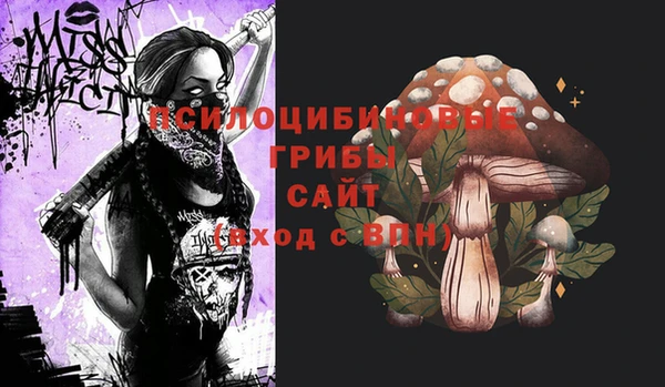 тгк Бородино