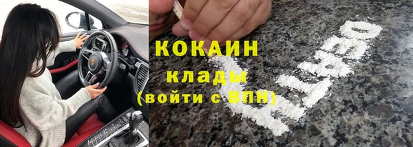 тгк Бородино