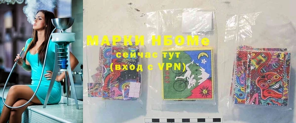 индика Беломорск