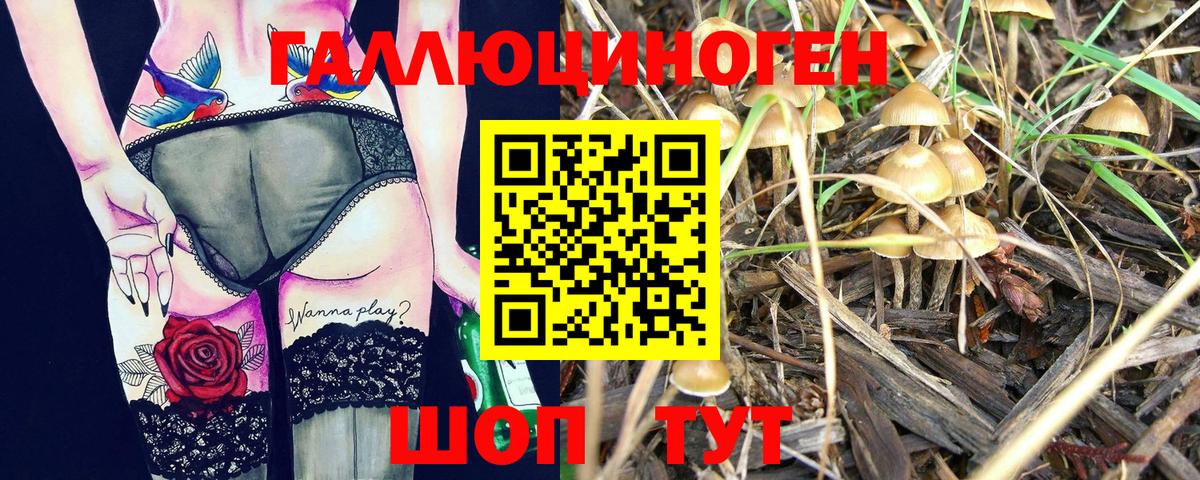 Дагестанские Огни  Галлюциногенные грибы Magic Shrooms  Псилоцибиновые грибы GOLDEN TEACHER  Вход с VPN 