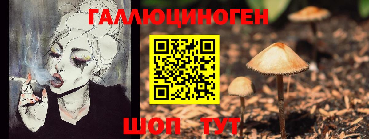 Псилоцибиновые грибы GOLDEN TEACHER Дагестанские Огни