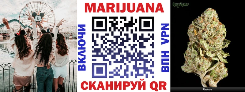 Бошки марихуана сатива Дагестанские Огни